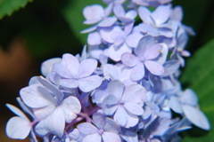 DSC_0012.JPG
