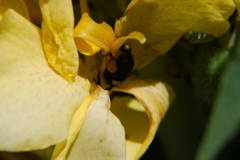 DSC_0014.JPG