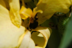 DSC_0015.JPG