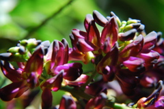 DSC_0021.JPG