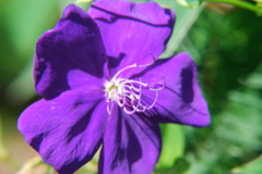 DSC_0023.JPG