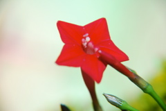 DSC_0024.JPG