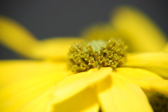 DSC_0028.JPG