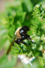 DSC_0031.JPG