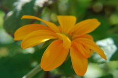DSC_0036.JPG