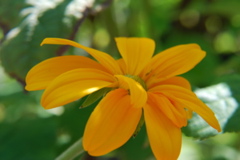 DSC_0037.JPG