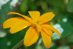DSC_0038.JPG