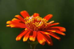 DSC_0042.JPG