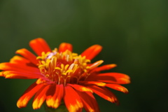 DSC_0043.JPG