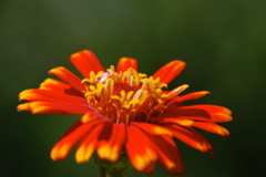 DSC_0044.JPG