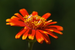 DSC_0045.JPG