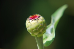 DSC_0046.JPG