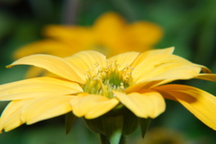 DSC_0049.JPG