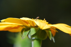 DSC_0050.JPG