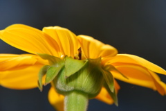 DSC_0051.JPG