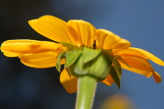 DSC_0053.JPG