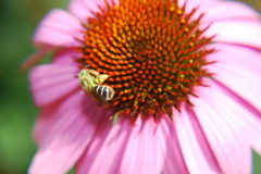 DSC_0057.JPG