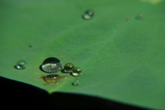 DSC_0062.JPG