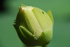 DSC_0065.JPG