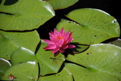 DSC_0067.JPG