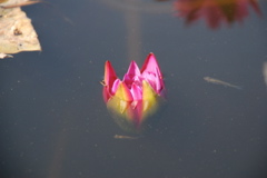 DSC_0075.JPG