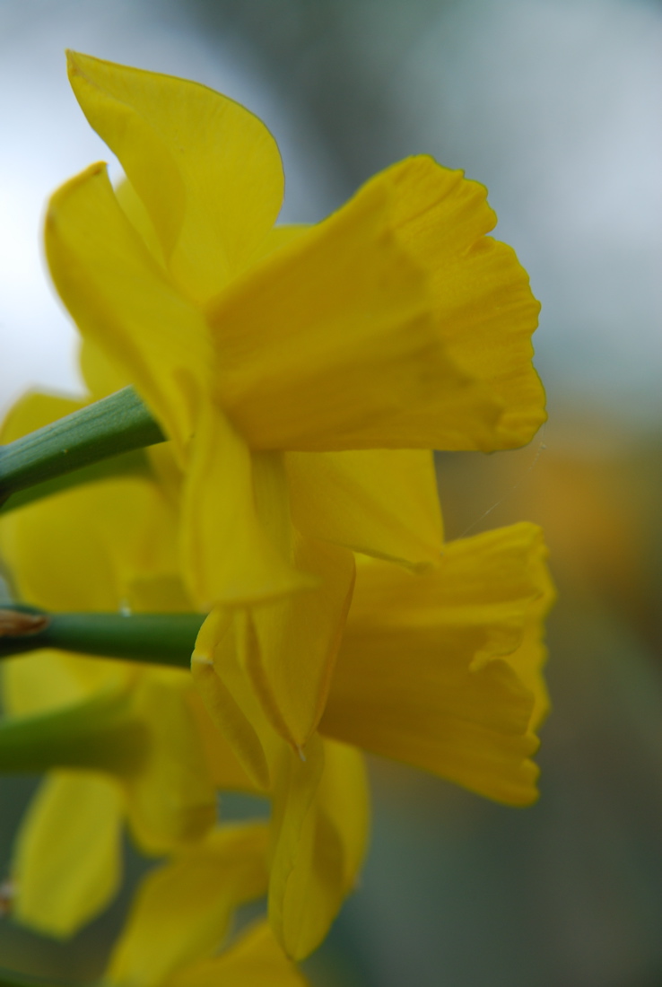 DSC_0077.JPG