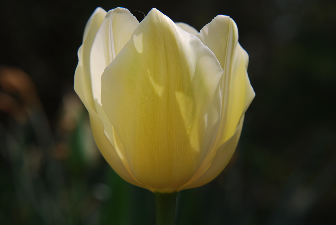 DSC_0089.JPG
