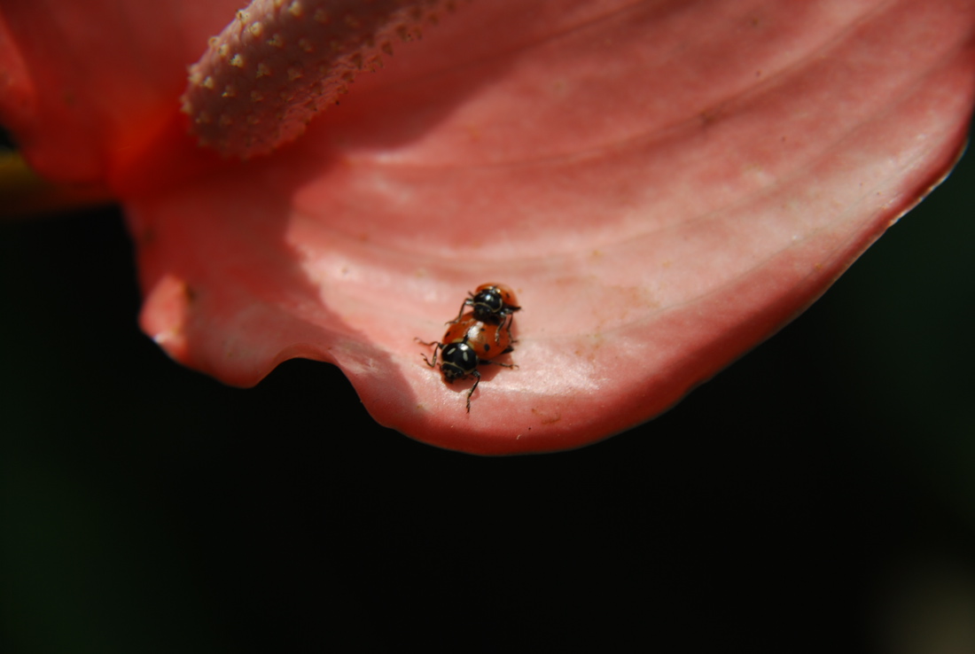 DSC_0119.JPG