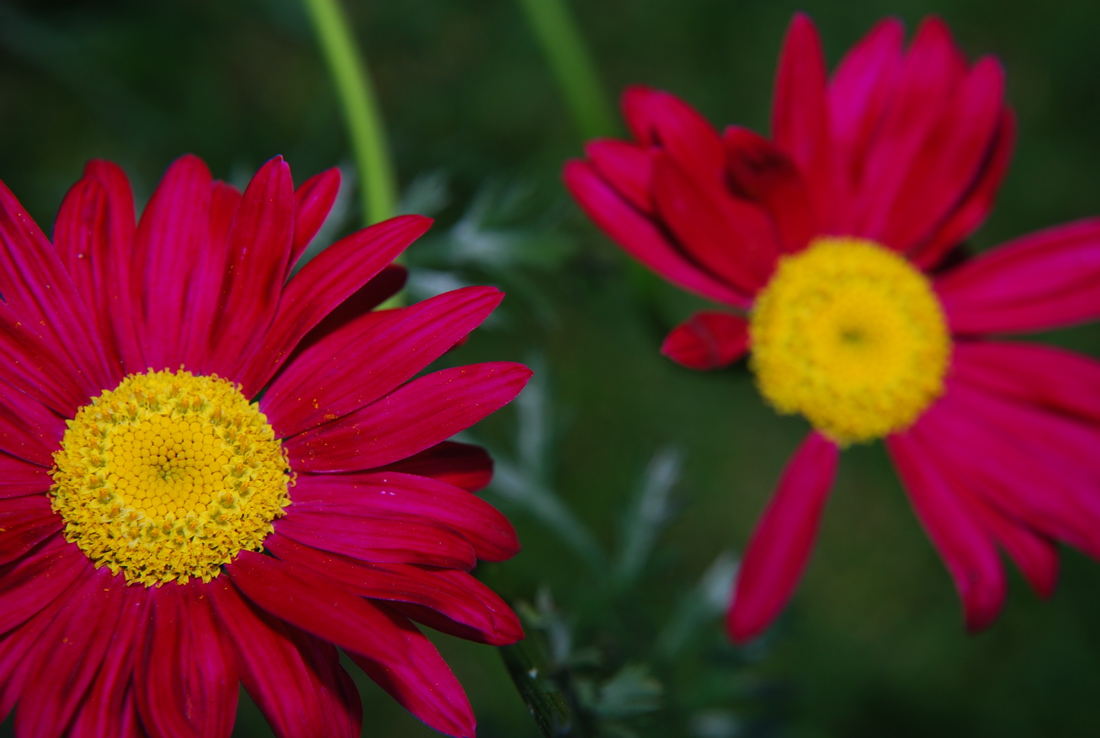 DSC_0291.JPG