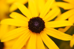 DSC_0395.JPG