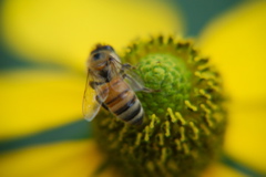 DSC_0404.JPG