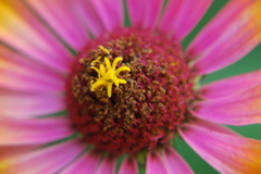 DSC_0418.JPG