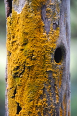 DSC_0443.JPG