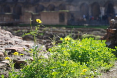 DSC_0158.JPG