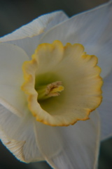 DSC_0559.JPG
