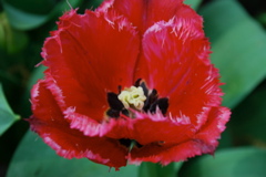 DSC_0055.JPG