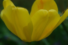 DSC_0057.JPG