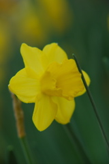 DSC_0078.JPG