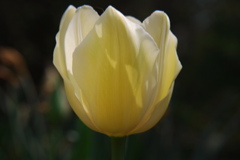 DSC_0089.JPG