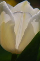 DSC_0098.JPG