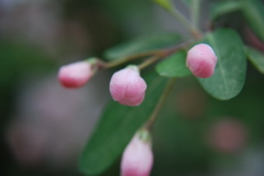 DSC_0115.JPG