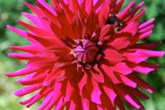 DSC_0127.JPG