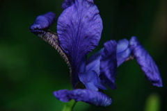 DSC_0314.JPG