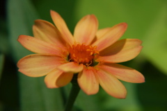 DSC_0318.JPG
