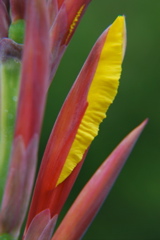 DSC_0384.JPG
