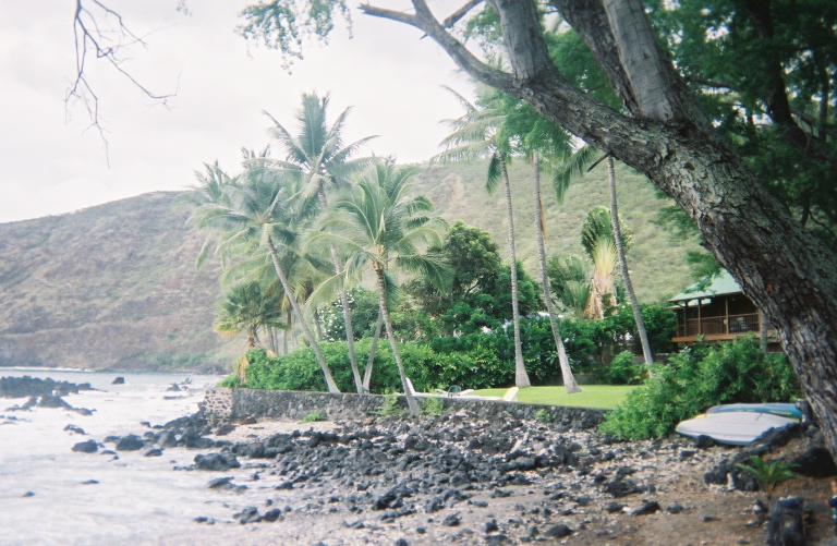 back yard