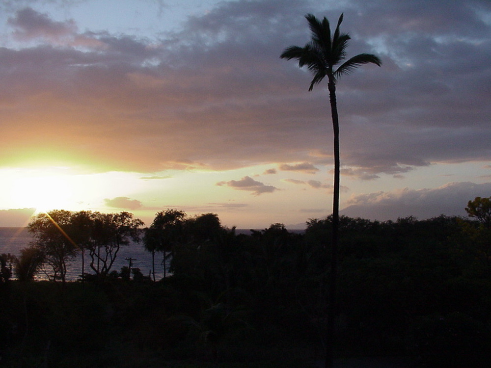 sunset2