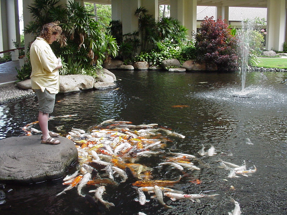 me with fish 2