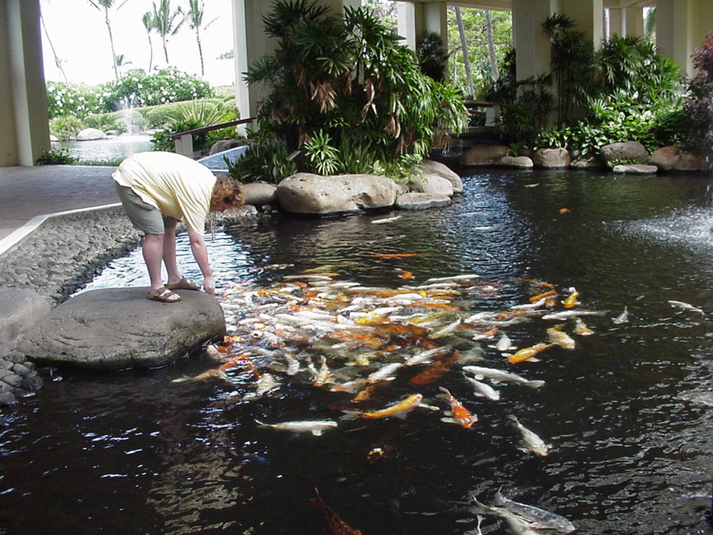 me with fish