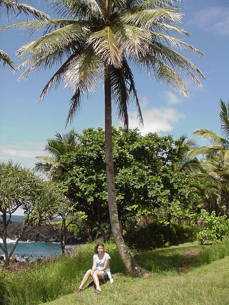 rreza on maui